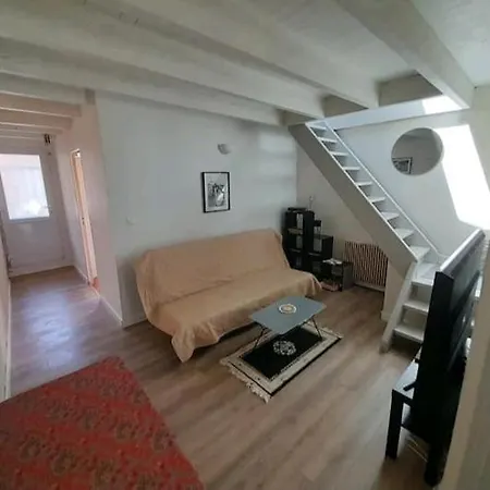 Toulousaine Avec Jardin Proche Centre Wifi * Tuluza