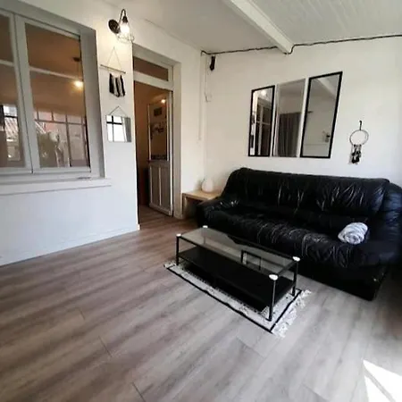 Toulousaine Avec Jardin Proche Centre Wifi Willa Tuluza