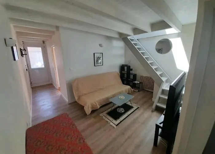 Toulousaine Avec Jardin Proche Centre Wifi * Tuluza