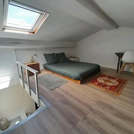 Villa Toulousaine Avec Jardin Proche Centre Wifi Toulouse