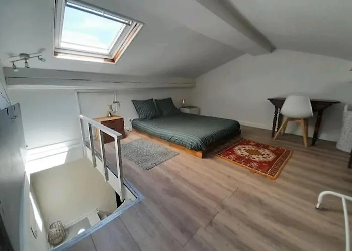 Villa Toulousaine Avec Jardin Proche Centre Wifi Toulouse