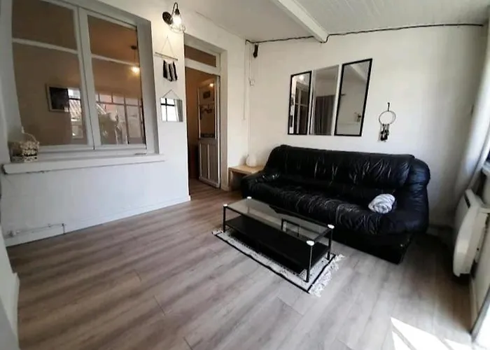 Toulousaine Avec Jardin Proche Centre Wifi Villa Toulouse