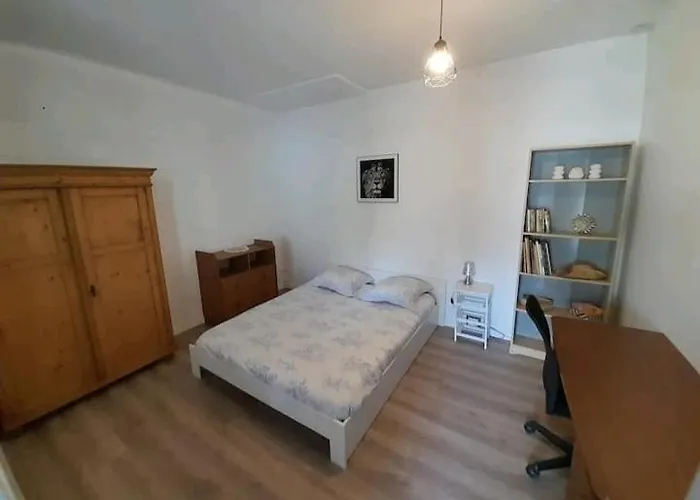 Toulousaine Avec Jardin Proche Centre Wifi