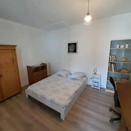 Toulousaine Avec Jardin Proche Centre Wifi